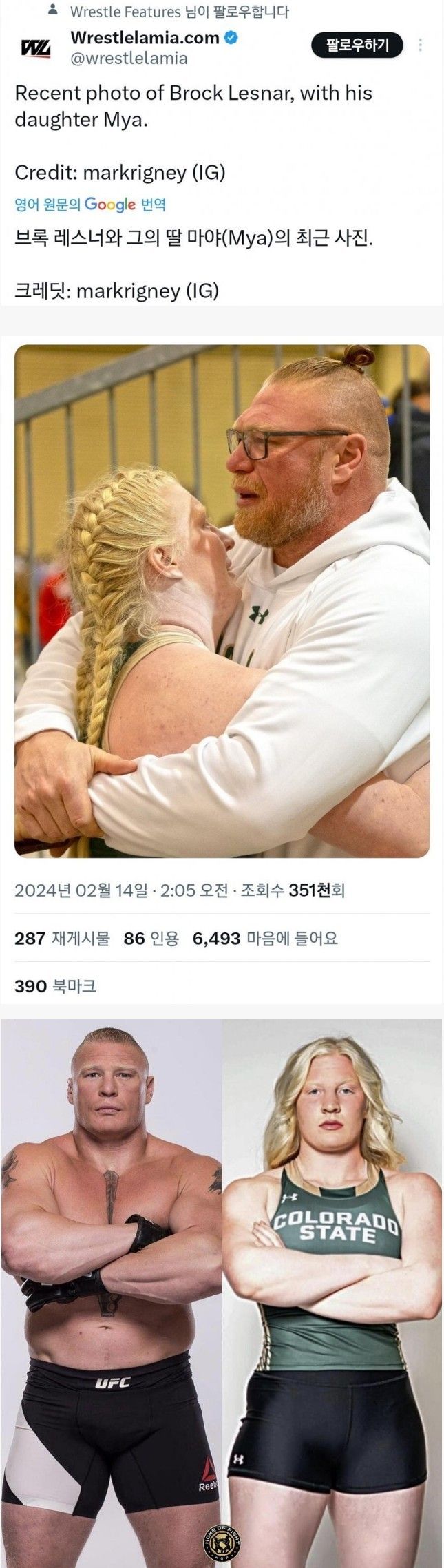 브록 레스너 근황