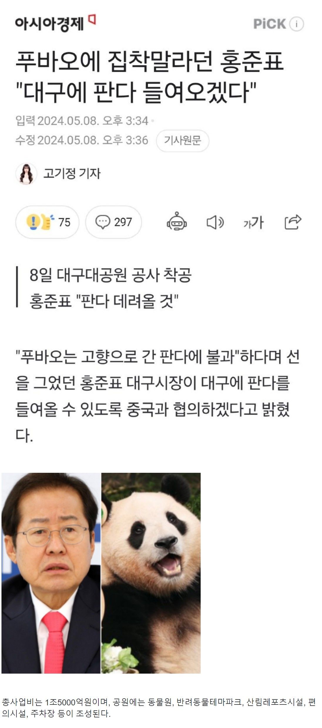 판다의 도시 대구