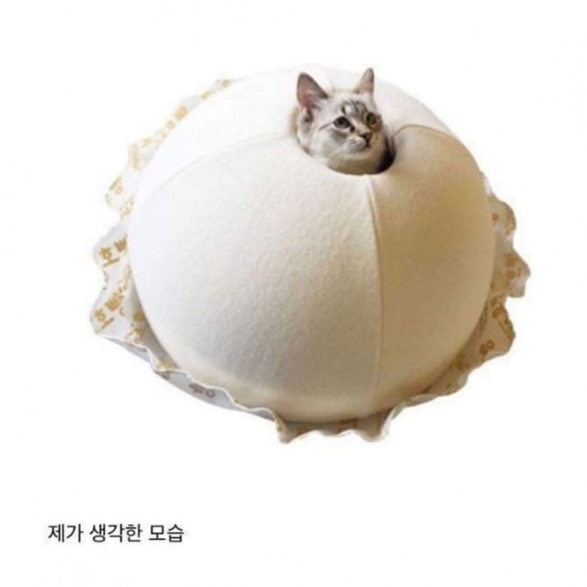 내 맘대로 안되는 냥이.