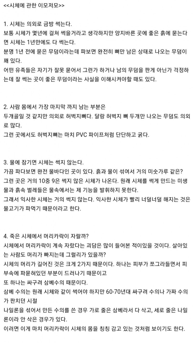 시체에 대한 이모저모