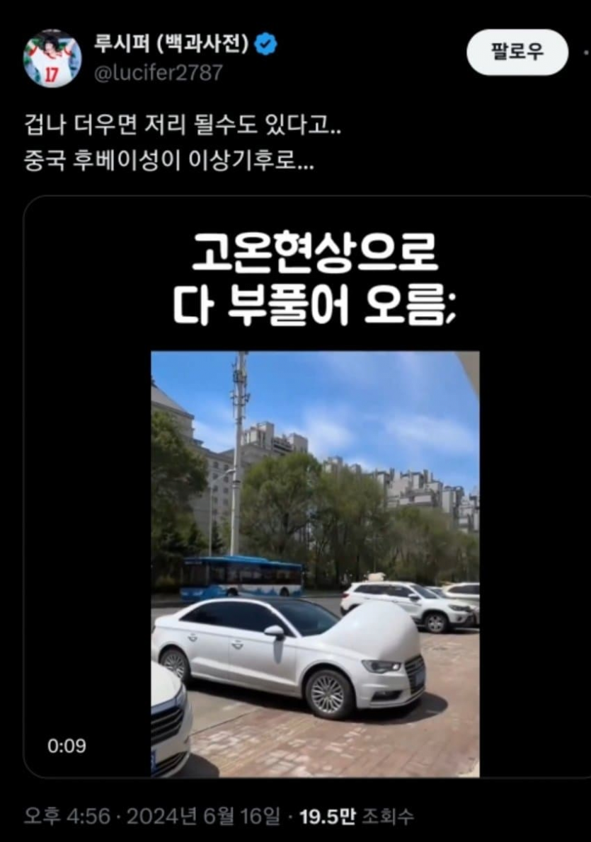 고온현상으로 부풀어 오름 ㄷㄷ