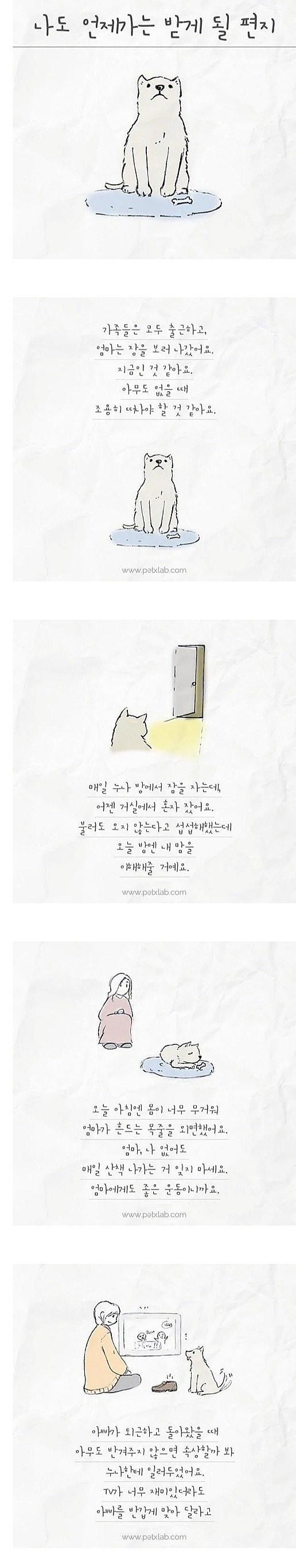 나도 언젠가는 받게 될 편지