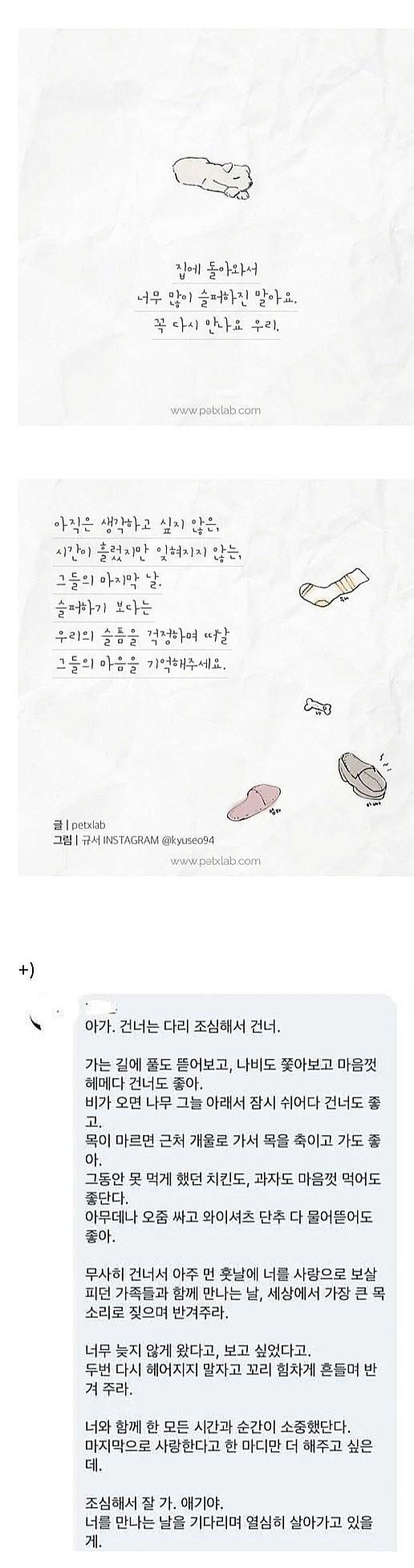 나도 언젠가는 받게 될 편지